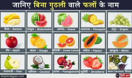 Seedless Fruits Name in Hindi English