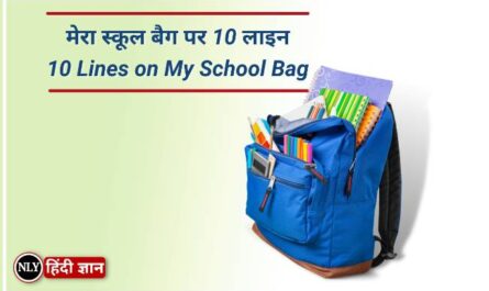 10 Lines on My School Bag in Hindi