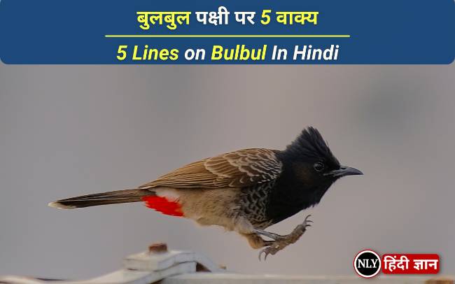 5 Lines on Bulbul In Hindi