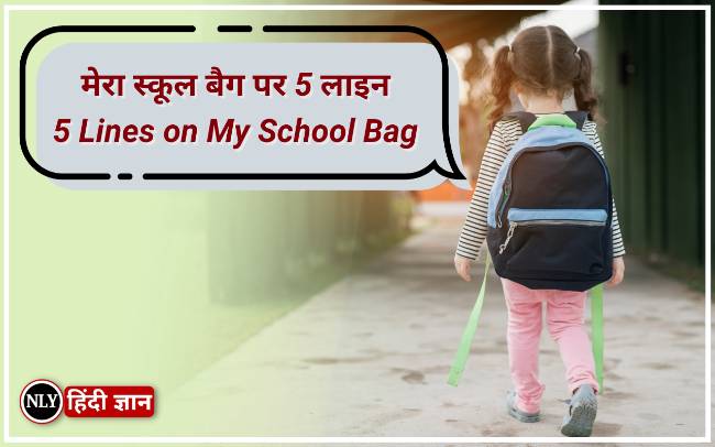 5 Lines on My School Bag in Hindi