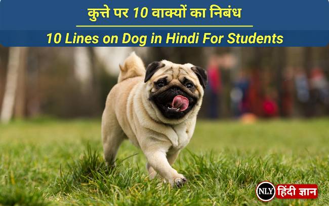 10 Lines on Dog in Hindi For Students