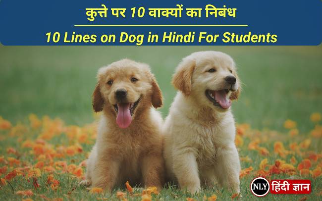 कुत्ते पर 10 वाक्यों का निबंध | 10 Lines on Dog in Hindi For Students