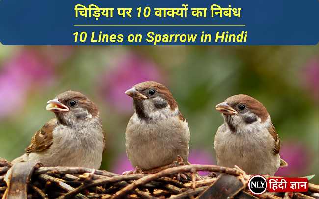 चिड़िया पर 10 वाक्यों का निबंध -10 Lines on Sparrow in Hindi