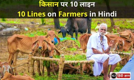 10 Lines on Farmers in Hindi