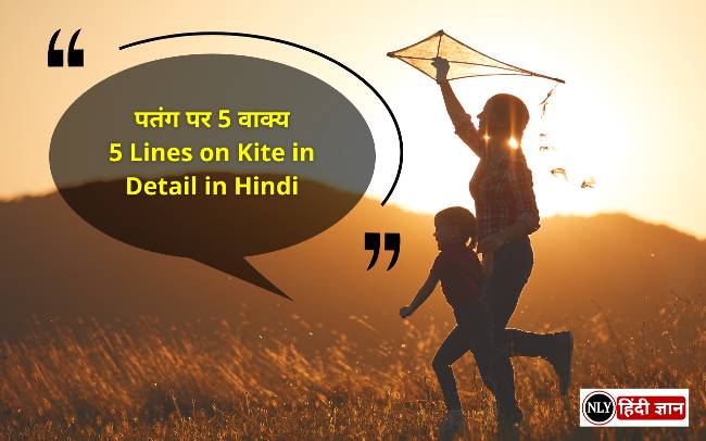 5 Lines on Kite in Detail in Hindi