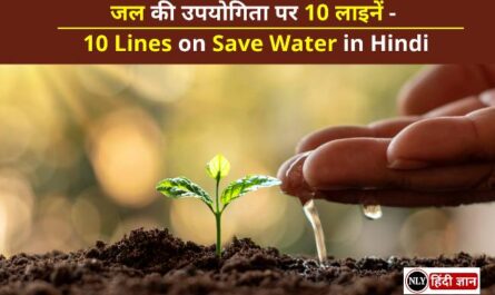 10 Lines on Save Water in Hindi
